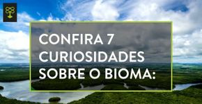 7 curiosidade sobre a Amazônia