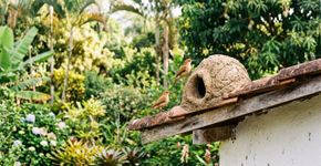 Se você achar um ninho de barro de um joão-de-barro em sua casa ou jardim, nós lhe diremos o que isso significa e por que é algo bom