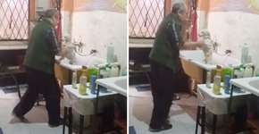 Dono de pet shop é filmado dançando com cão enquanto lhe dá banho