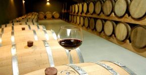 5 vinícolas na América do Sul para conhecer