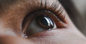 Foto: (Kush Kaushik/Pexels)