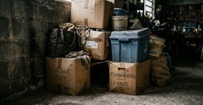 Mulher entra na garagem e encontra um animal escondido debaixo do carro, mas o maior susto acontece quando percebe que ele não estava sozinho