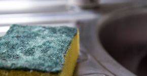 Foto: (RightOne/istock)