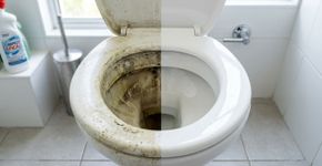 Aprenda a limpar o vaso sanitário encardido usando vinagre e sem precisar esfregar