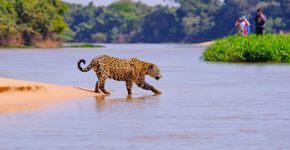 Foto: (iSTOCK/reisegraf)