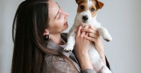 Seu pet está com dor? 7 sinais que podem revelar que algo não vai bem 