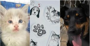 Em SP, faça uma tattoo e ajude a arrecadar doações para animais abandonados