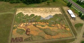 Artista recria obra de Van Gogh em terreno nos EUA