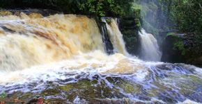 Presidente Figueiredo: A selva das 160 cachoeiras