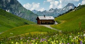Foto: (Erich Fend/iStock)