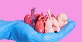 6 mitos e verdades sobre a doação de órgãos