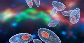 Foto: (Dr_Microbe/istock)