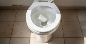 Entendi tarde demais por que o papel higiênico nunca deve ser jogado no vaso sanitário