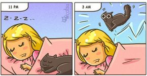 10 quadrinhos que mostram como é morar com um gato