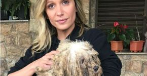 Luisa Mell resgata 135 cachorros que eram espancados em canil