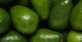 Nem na geladeira, nem na bancada: este é o melhor lugar para guardar o abacate verde