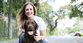 Empresa treina cães para acompanhar cadeirantes