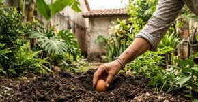 Para que serve enterrar um ovo cru no quintal de casa? Qual o significado?