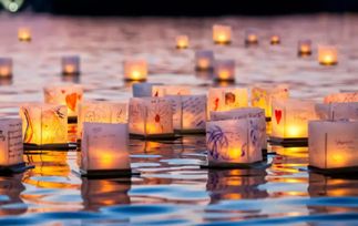 Agenda event: Water Lantern Festival ilumina as águas do Jardim Botânico de São Paulo em experiência inédita
