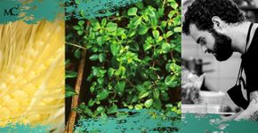 Restaurante brasileiro é referência mundial de sustentabilidade
