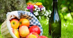 Parque da Cidade recebe piquenique vegano