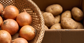 Como conservar cebolas frescas por 6 meses? Dicas para armazenar frutas e legumes