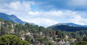 Foto: (Sidney de Almeida/iStock)