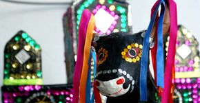 A festa do bumba-meu-boi