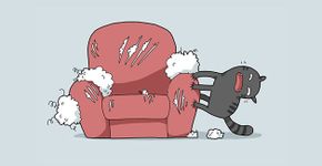 Confira ilustrações fofas com 12 tipos de gatos diferentes