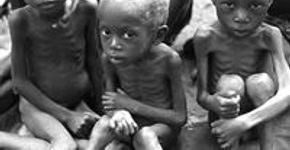 Campanha mostra impacto da desnutrição nos sonhos de crianças