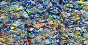 Descubra como reduzir a quantidade de lixo produzido na sua casa