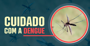 Brasil registra um salto nos casos de morte por dengue