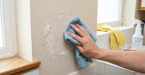 Se o mofo na parede voltou a aparecer tente fazer assim em vez de usar água sanitária, desse jeito você nunca mais vai precisar limpar esse local de novo