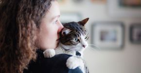 Foto: (Linda Raymond/istock)