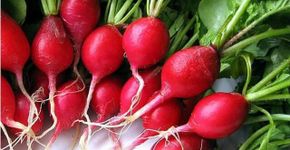 Movimento estimula produtores locais de alimento