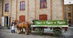 Como visitar cervejarias nas Dinamarca, Irlanda e Holanda