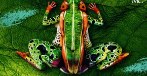 O fascinante jogo de ilusão das pinturas corporais
