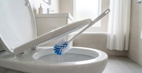Deixar a escova sanitária pingando dentro do suporte depois da limpeza: o hábito que mantém umidade onde ela menos deveria ficar