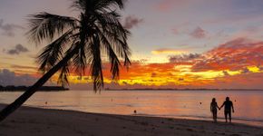 Foto: (Divulgação)