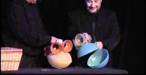 Zôo-Ilógico