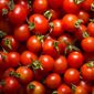 Da redação: Licopeno do tomate pode ajudar a proteger o cérebro contra o Parkinson, aponta pesquisa