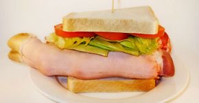 Fotógrafo mostra a ‘verdadeira’ carne dos fast food
