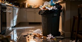 O que o Feng Shui diz sobre o lixo na sua cozinha e por que ele te impede de ficar rica