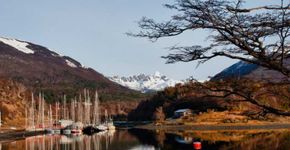 Puerto Williams: uma viagem ao vilarejo mais austral do mundo