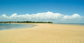 Foto: (Leoaraujo7/iStock)