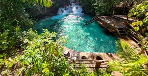 Foto: (Istock/Wirestock)