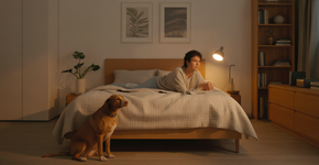 O que significa dormir com seu cachorro ou gato, segundo veterinários especialistas?