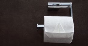 Papel higiênico pode acabar com os mosquitos: veja como usar