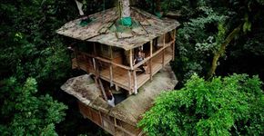 Casal cria comunidade sustentável com várias casas na árvore