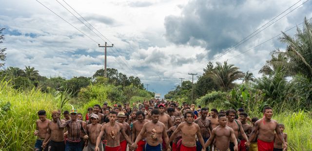 38º Panorama da Arte Brasileira: Mil graus
